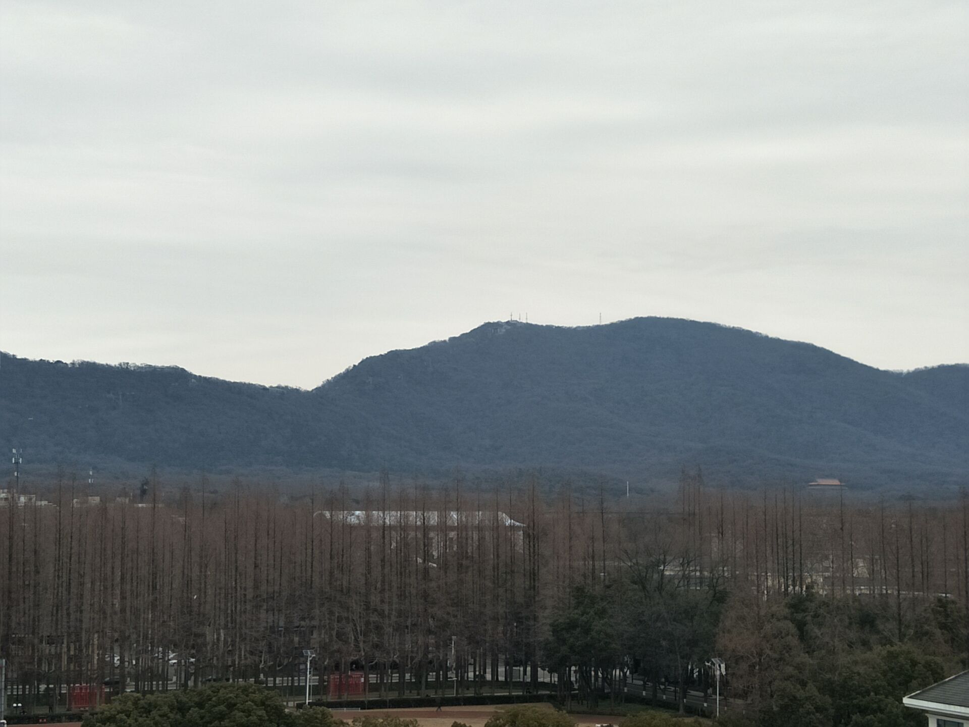 丁蕊 (2).jpg