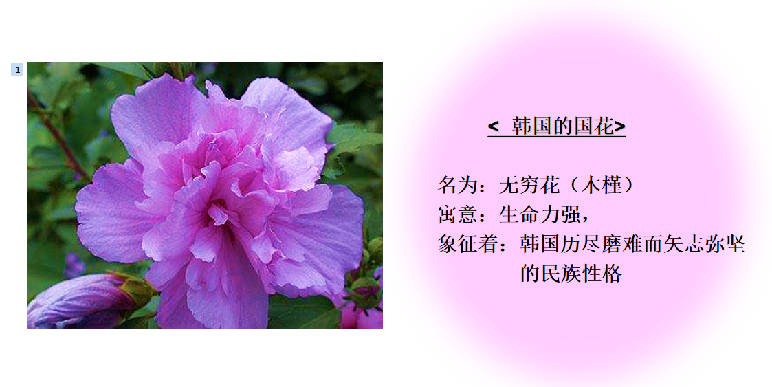 家校共育之“韩国的文化”（61）_html_m47ba7d2d.png