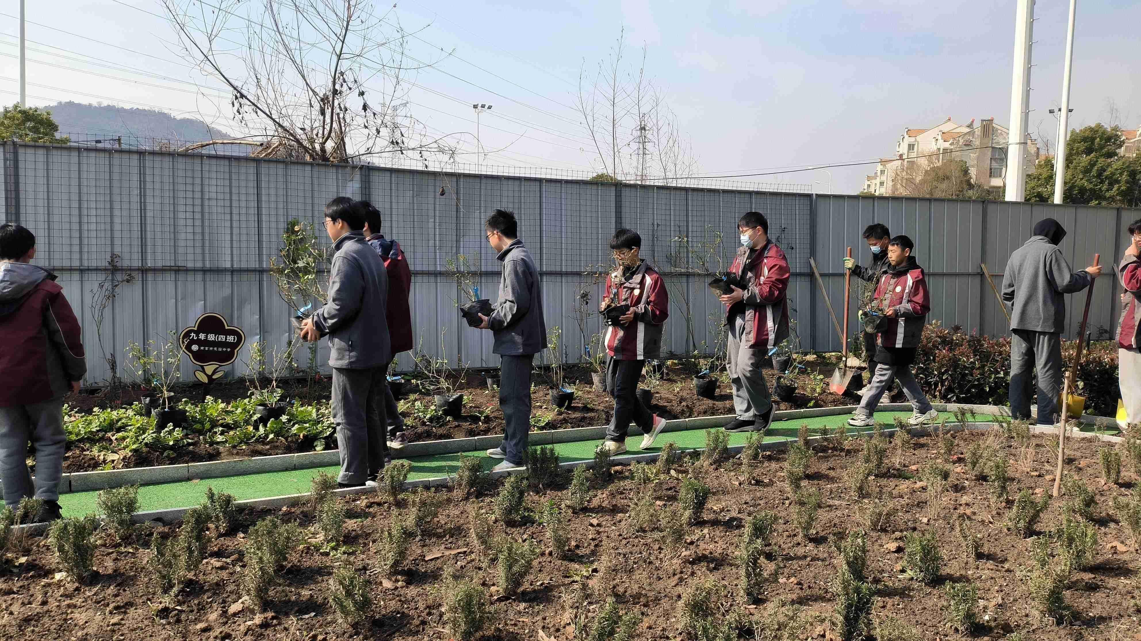 【臻美花中 花样劳动】阳春布德泽，静待花开时——南京市园中学开展月季种植活动_html_107568ae.jpg
