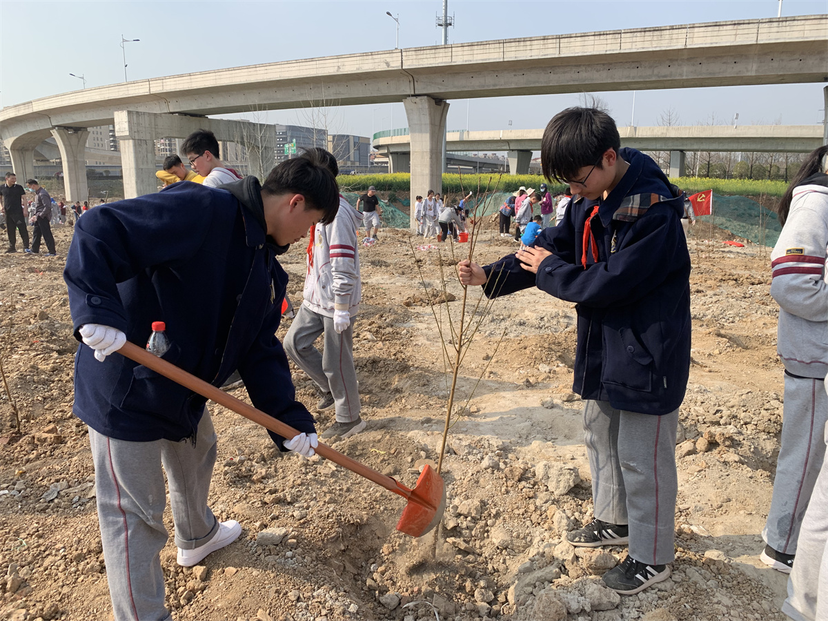 2022.3.11植下一棵树，收获万点绿——南京一中马群分校开展植树节活动_html_3e7563b2.jpg