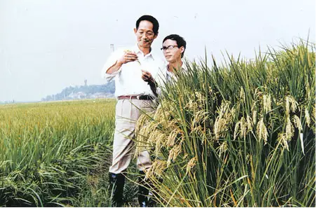 红领巾学先锋第2期_html_4f1ba1e5.png