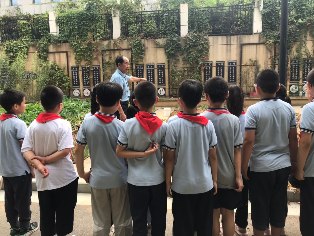 【陶娃爱劳动】秋日喜丰收  陶娃农活忙_html_57b1a389.jpg