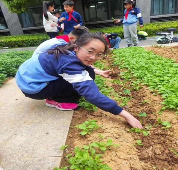 20240509劳动砺心智，实践促成长(1)_html_44bcf328.jpg
