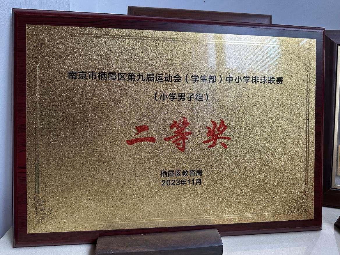 20240707南京市晓庄 小学2023-2024学年体育工作喜获佳绩(2)(1)_html_6f534df1.jpg