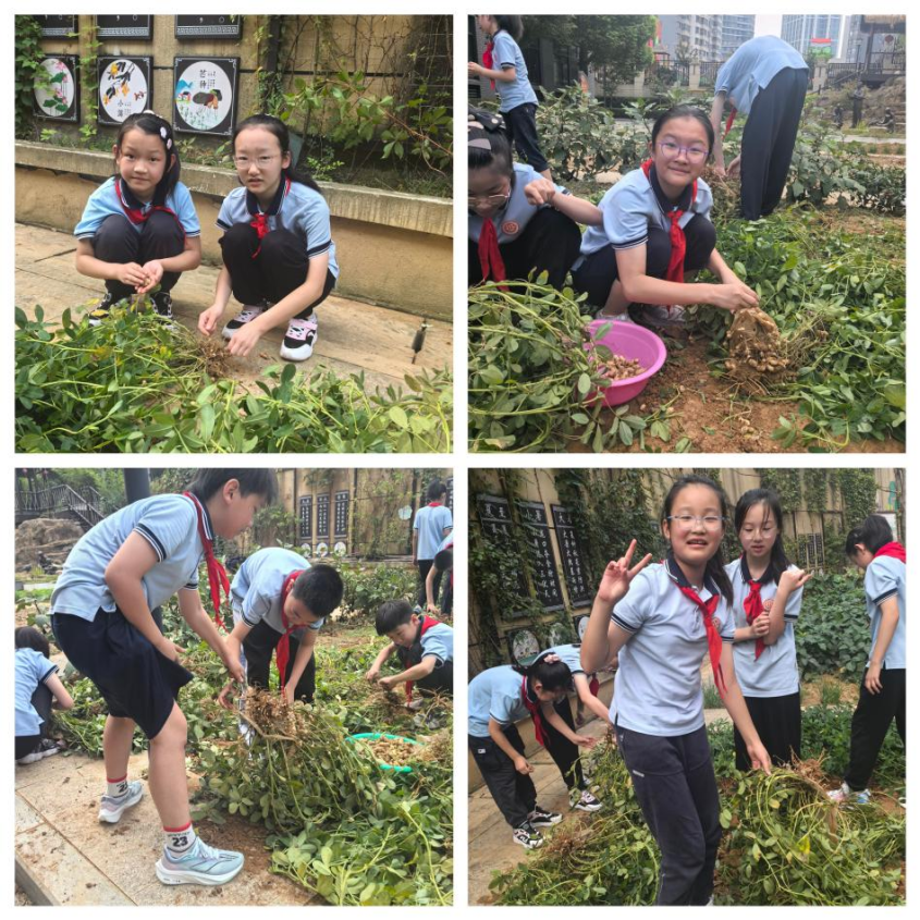 20240910致敬陶行知—不一样的教师节_html_369938bb.png