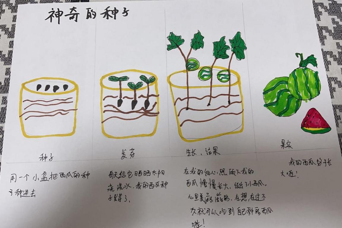 一五“种子” 长程作业(1)_html_m6df6785d.jpg