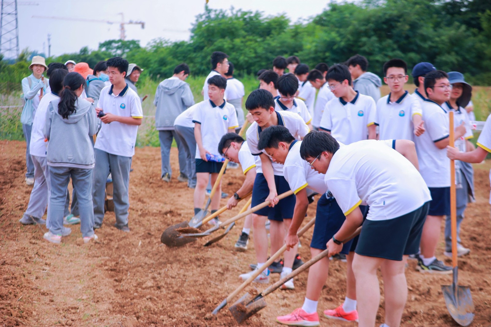 微信图片_202406121354262.jpg 微信图片_202406121354262.jpg