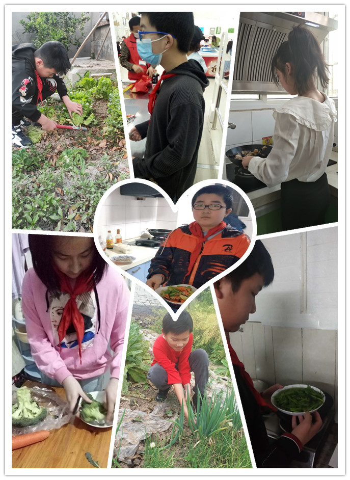 六年级炒菜.jpg