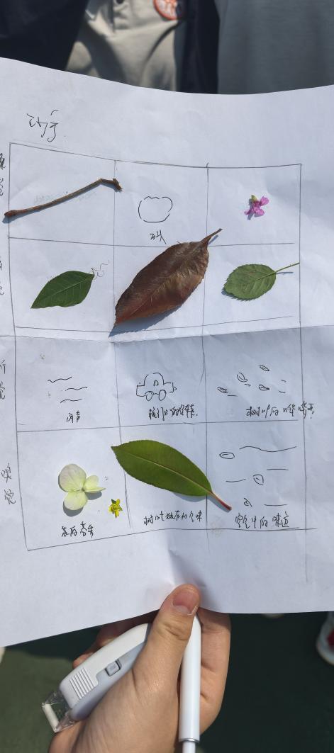 【融进心育】“活力青春，心满阳光”——实初尧化开展心理健康月活动_html_m14b6cd07.jpg