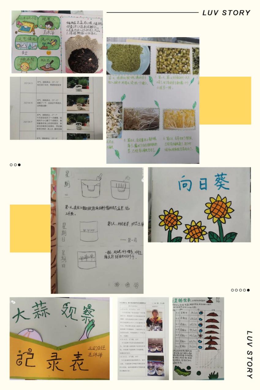 2021年科技节新闻稿_html_338b1c2f.jpg