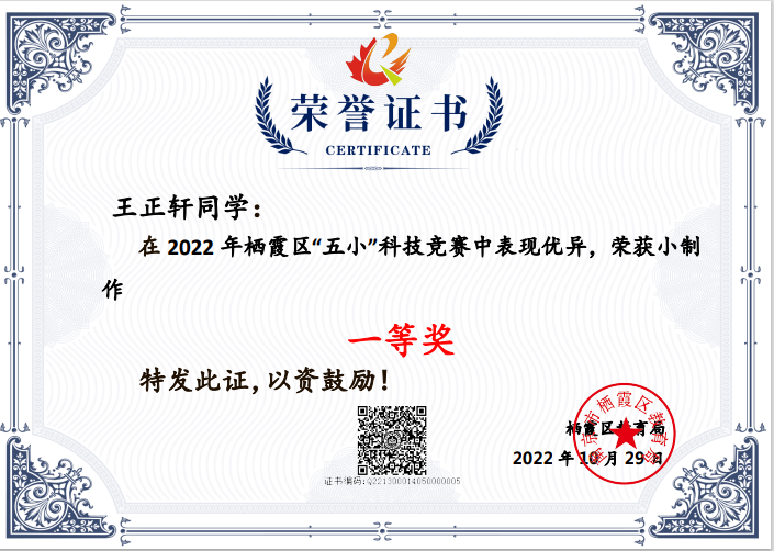 2022五小喜报_html_m62b6ad7c.png