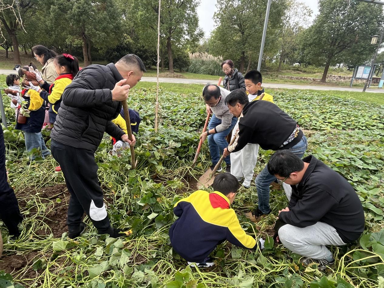 赴一场田园之约，做快乐小农夫——晓院附小三（2）班农耕体验活动2025.10(1)_html_m54e5dbad.jpg