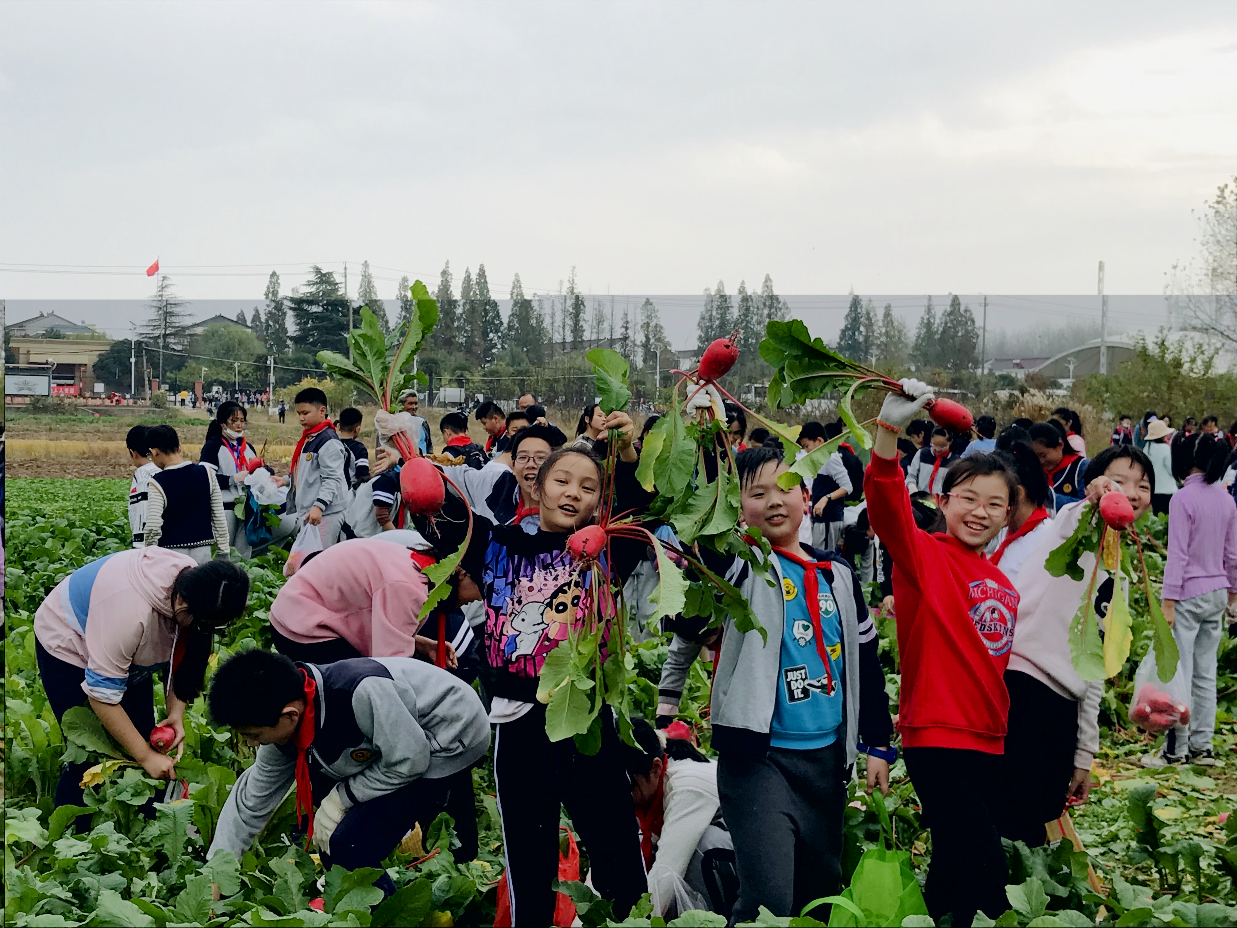 我与萝卜有约_html_m7d80ea92.jpg