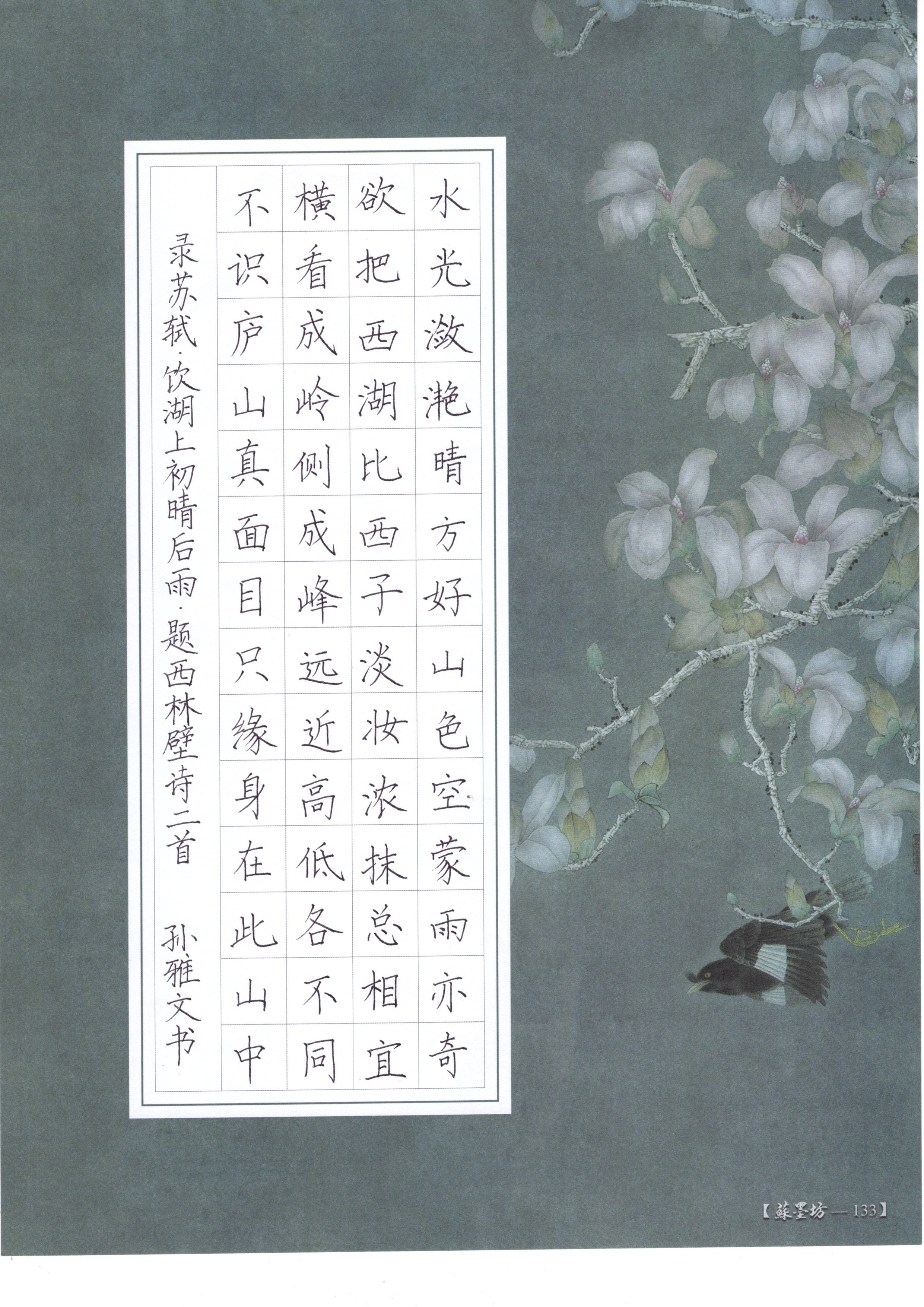 正书大赛 报道_html_2c1bab7b.jpg