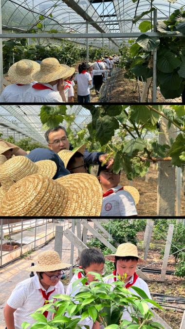 劳动出真知，实践伴成长_html_1365ef4d.jpg