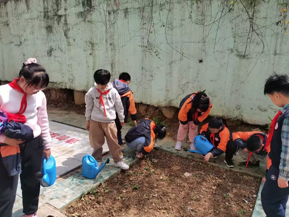 黄正军-【丁香汉声•班主任成长营】教室里的故事∣小菜地育大品格2023.5.13_html_77da9731.jpg