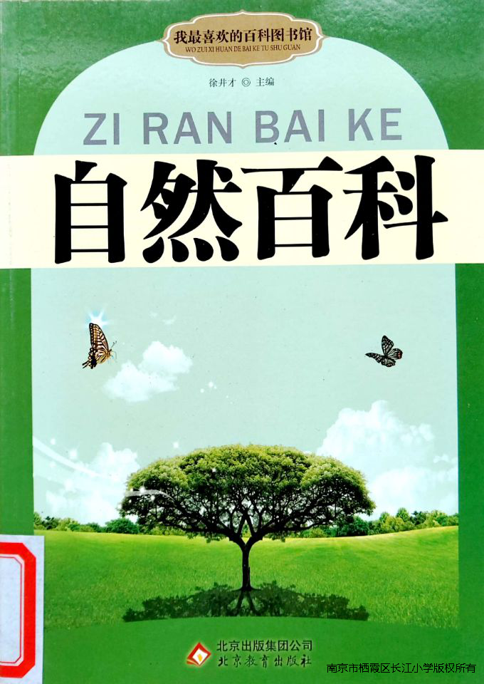 图片 1.png