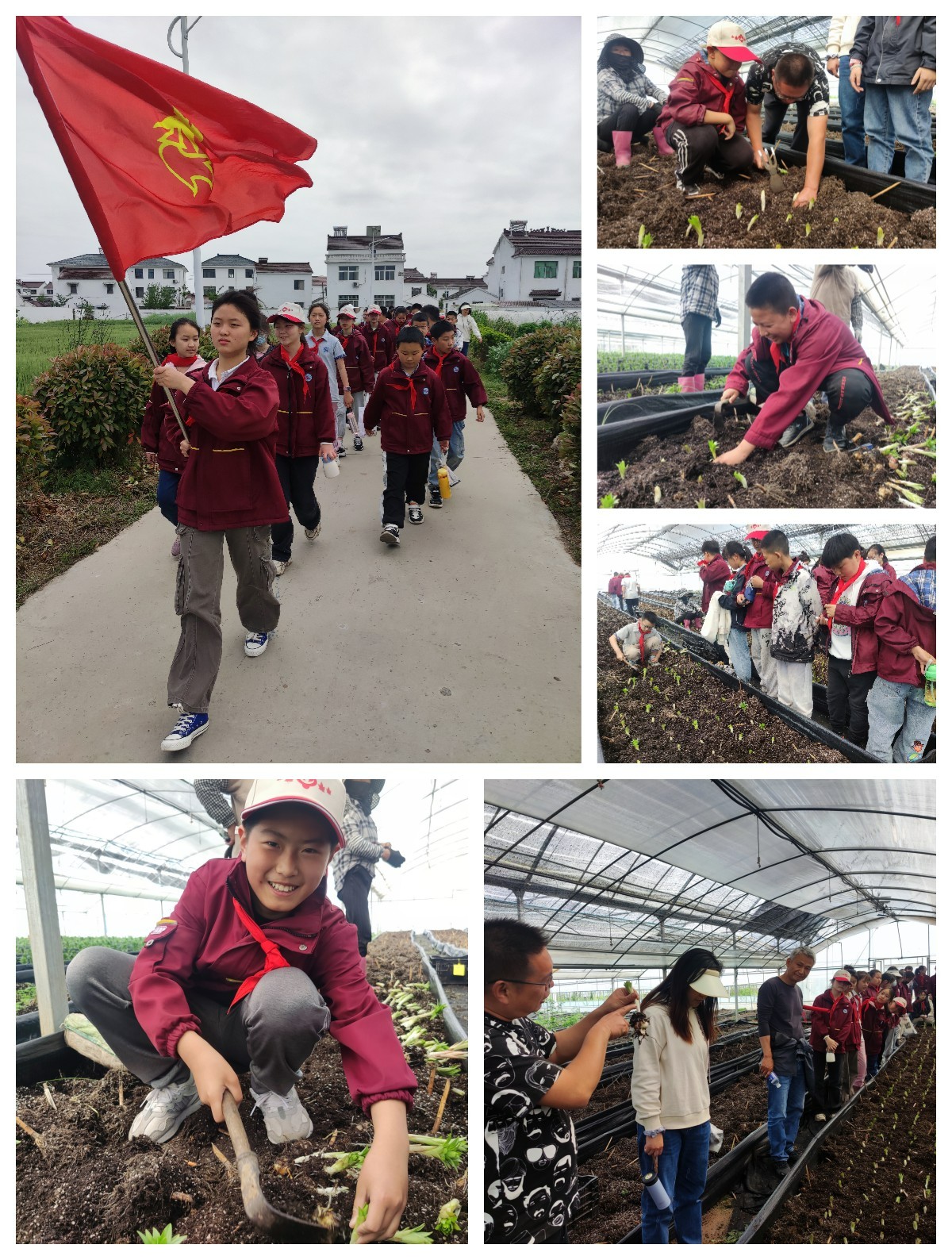未命名2.jpg