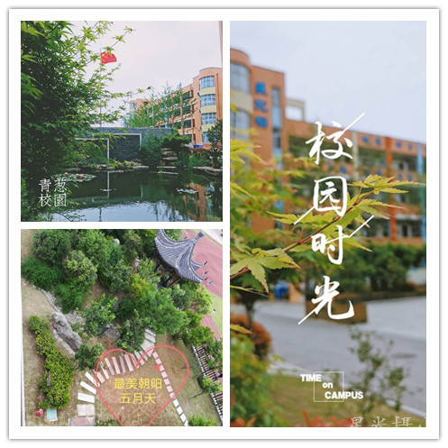 美丽校园.jpg