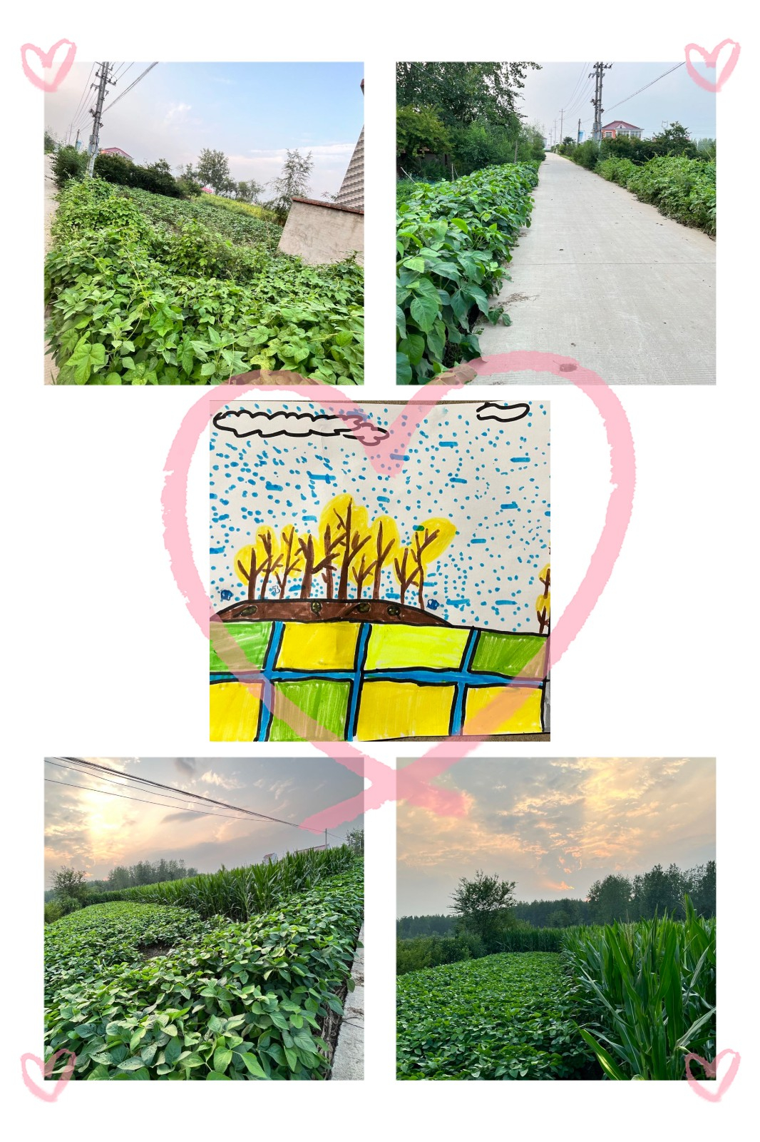 王一鸣看到的和画下的.JPG