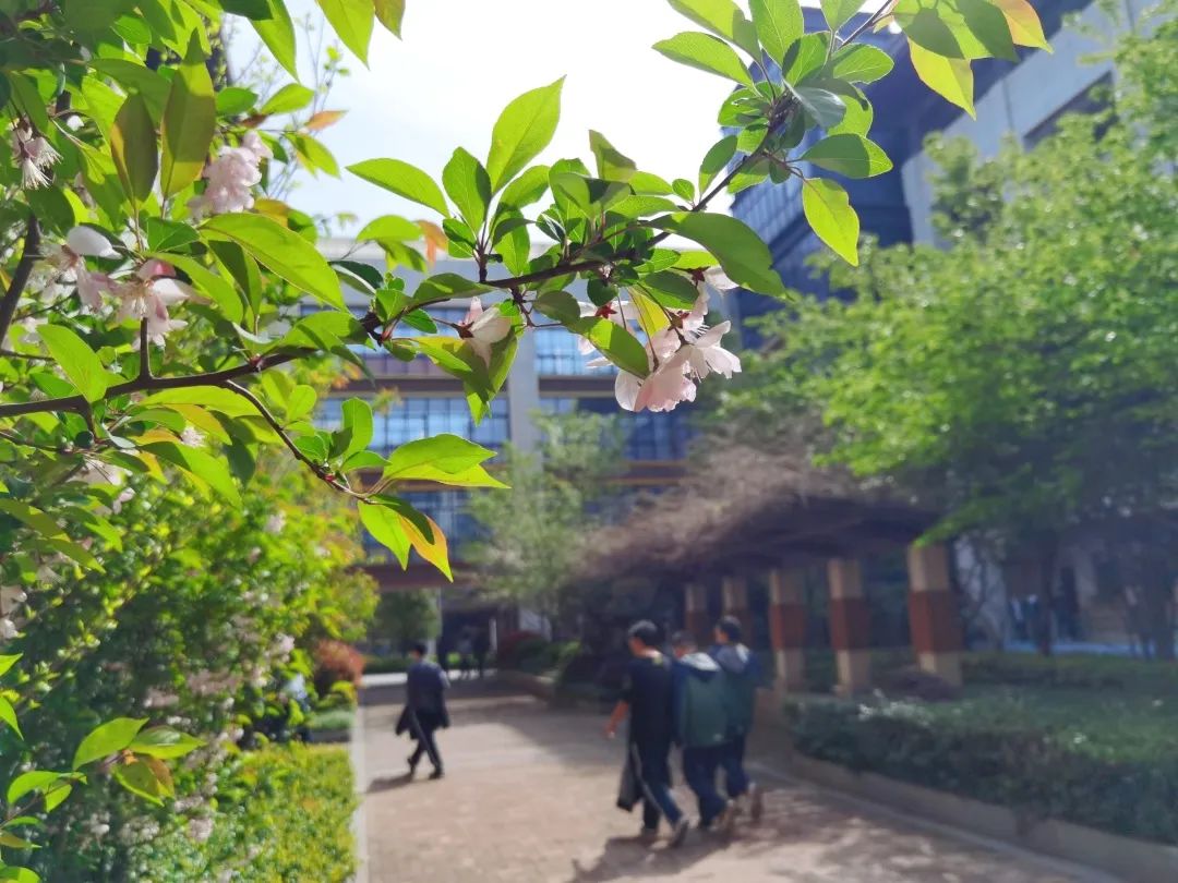 微信图片_20230401214346.jpg