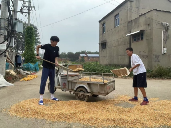 640 (10).png 640 (10).png