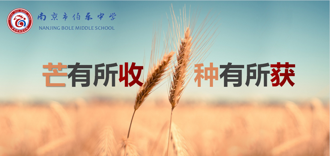 20220606芒种新闻稿_html_m2695d01b.png