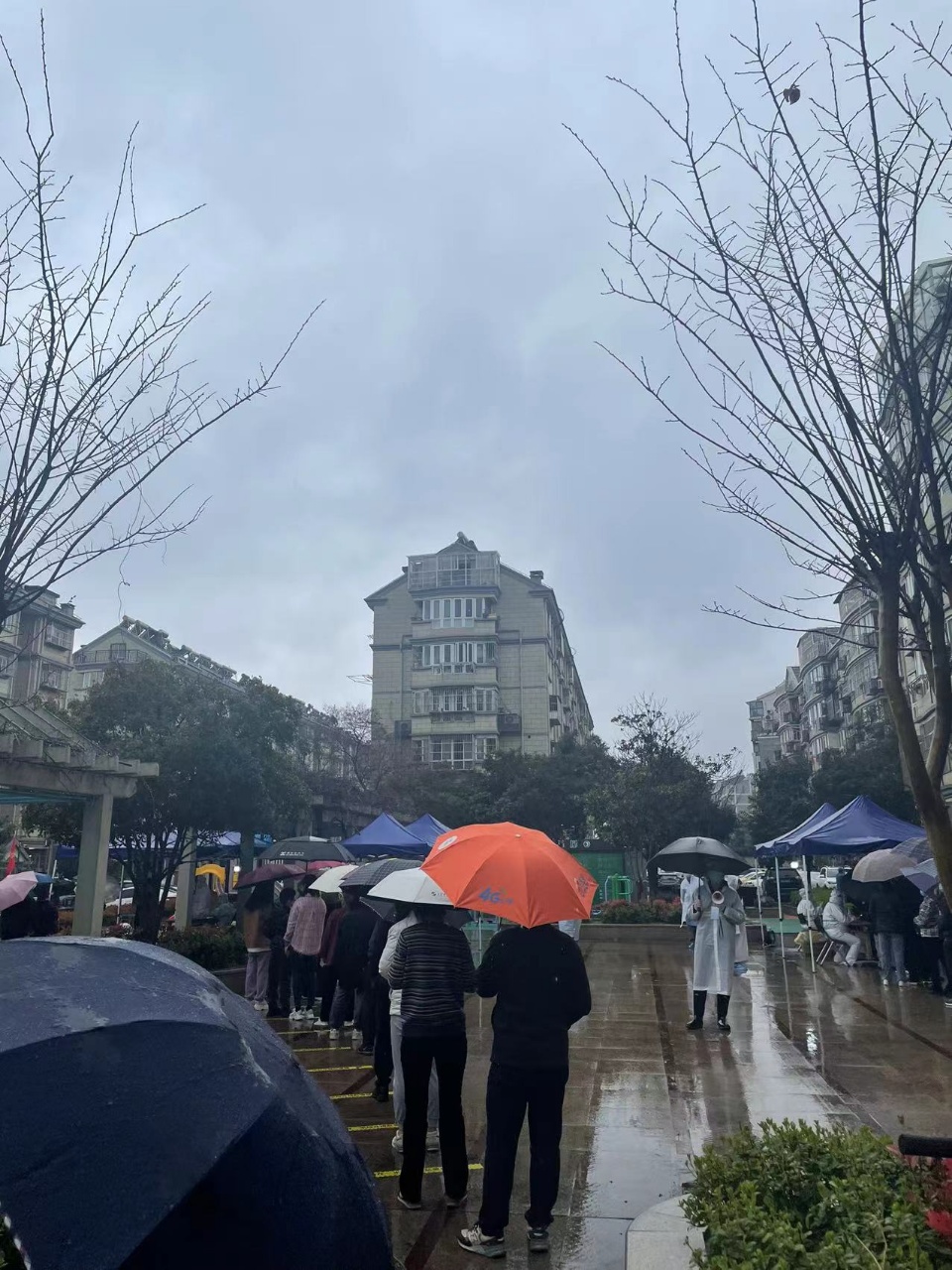 f防疫日记  四天123_html_77219752.jpg