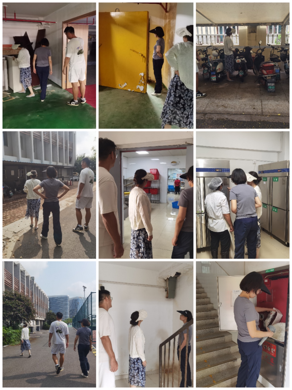 Collage_20240914_095539.jpg