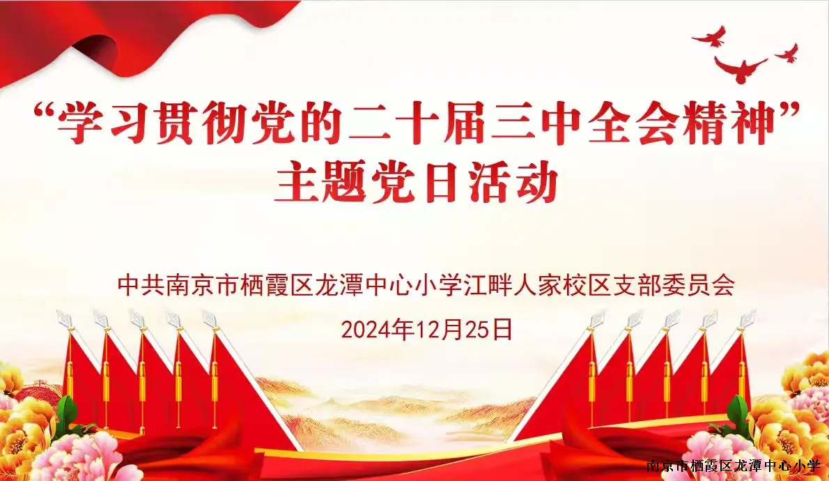 【江畔先锋】龙潭中心小学江畔人家分校党支部开展“学习贯彻党的二十届三中全会精神”主题党日活动