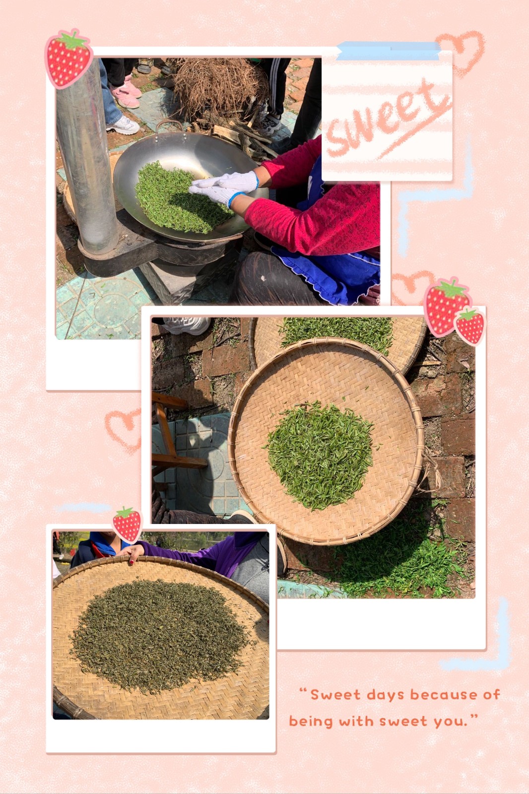 采茶超、炒茶3.jpg