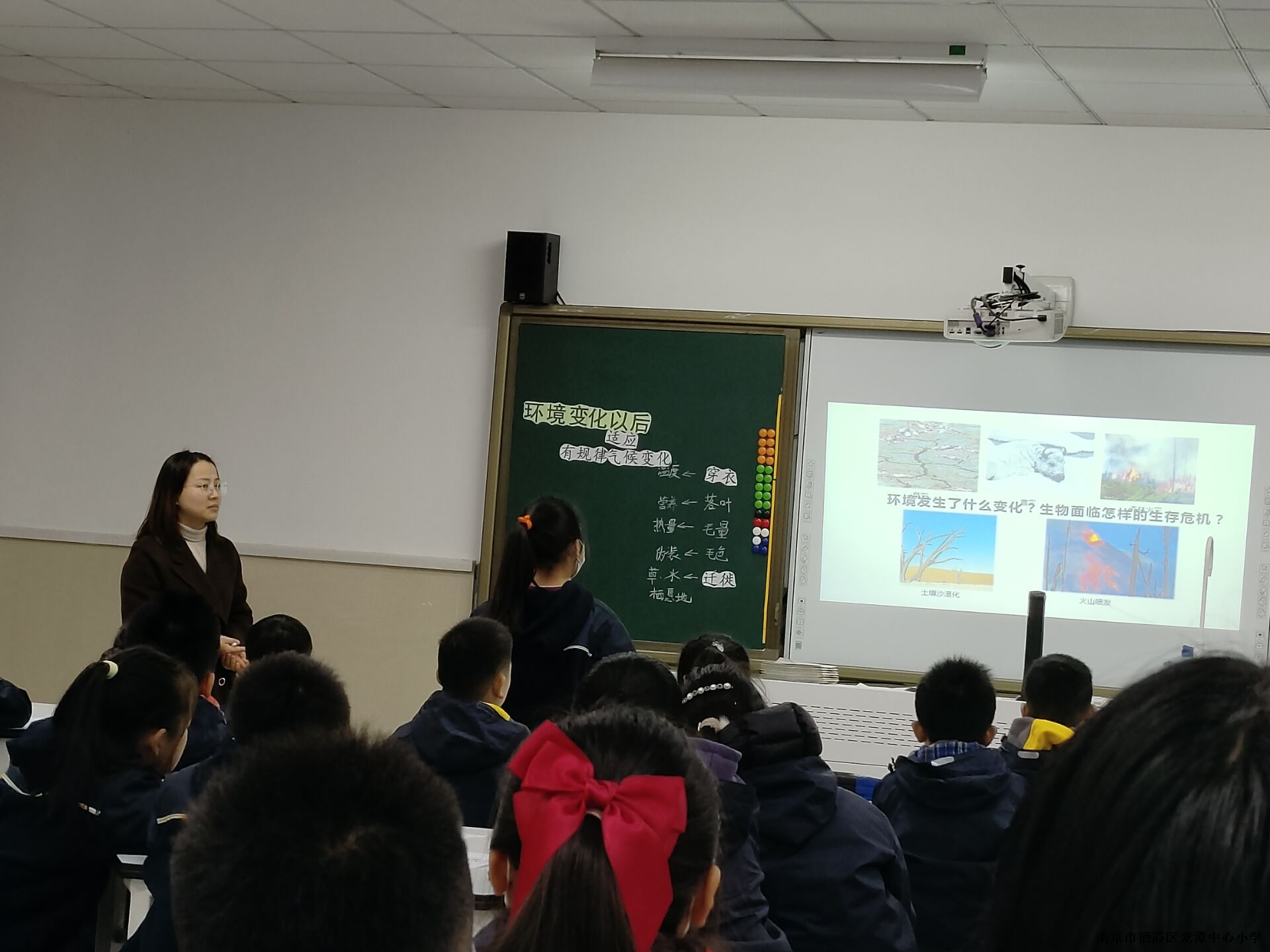 【灵美龙小】基于实验设计的探究实践评价