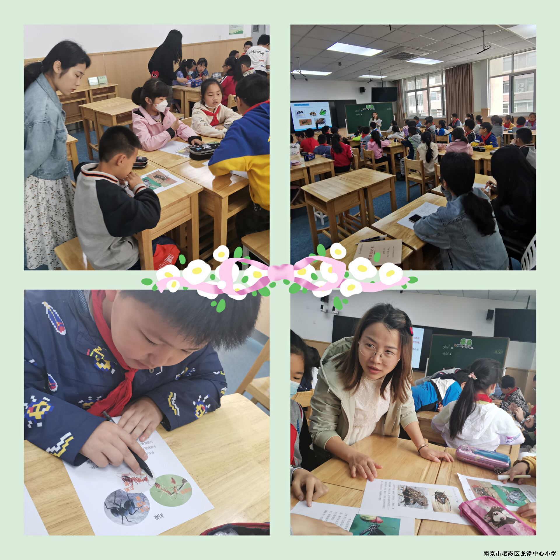 【灵美龙小】基于探究要素的评价