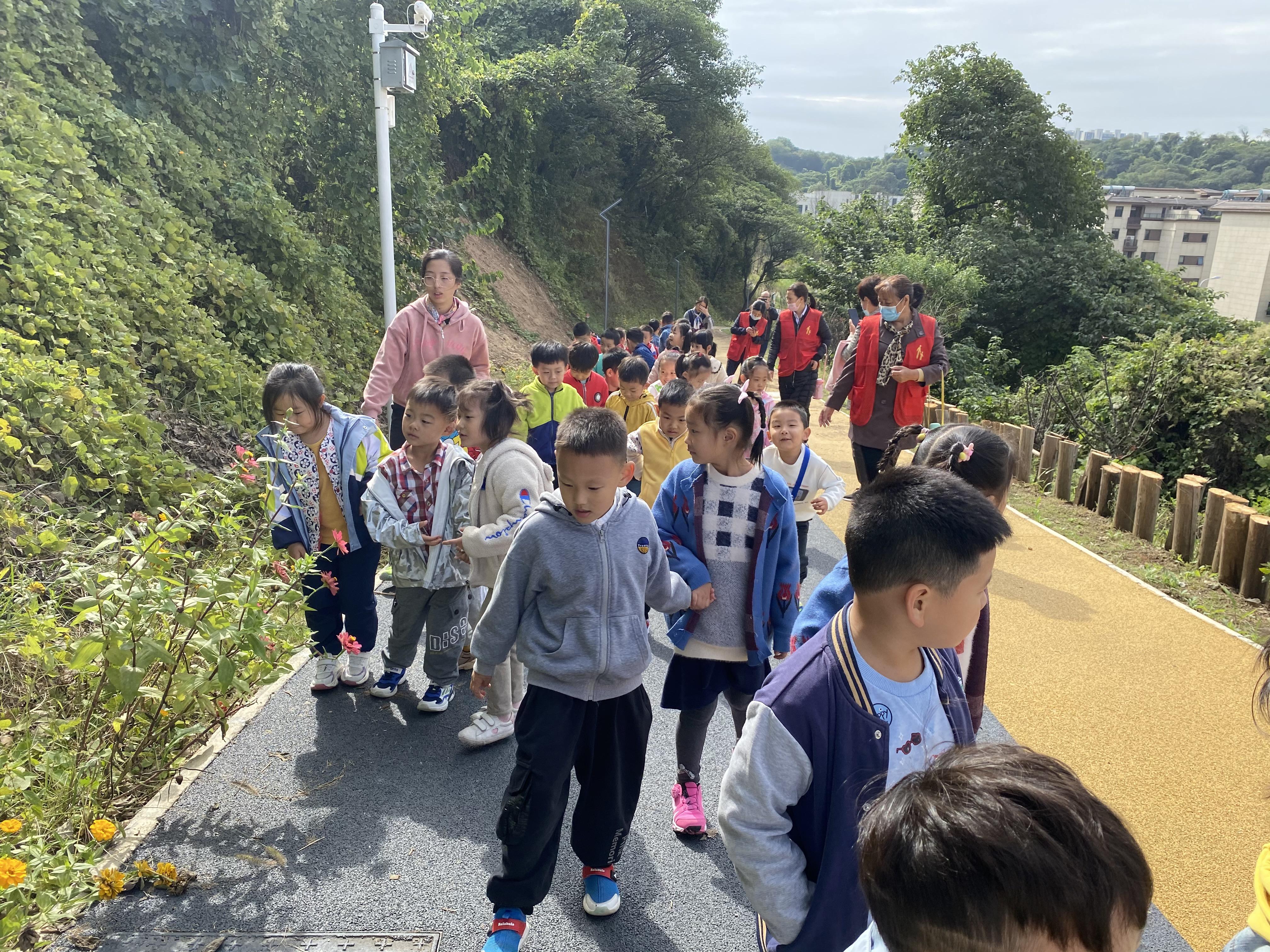 211018种子之秘 山林趣探_html_m155d1867.jpg