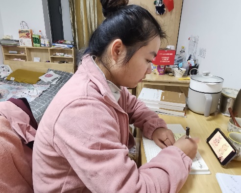 【枫香栖幼】关注教师成长 拓宽美育思路  ——记栖幼石埠湾园新教师棒尼姆美术培训活动