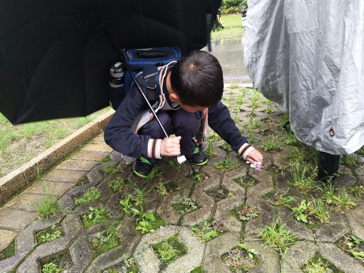 【广志先进班集体】齐欢乐 勤求知 采硕果——金陵小学广志路校区2020级7班_html_m18ee1654.jpg