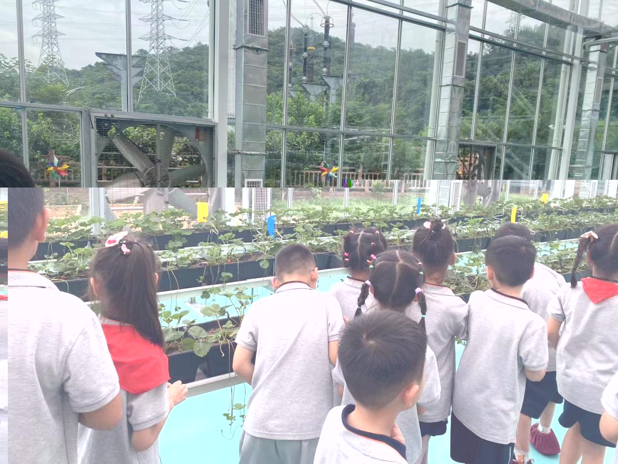 【湖畔·学生活动】创新实践在自然 劳动研学促成长——栖霞区劳动教育月金陵小学（仙林湖校区）生态园研学活动_html_m43b54e1a.jpg