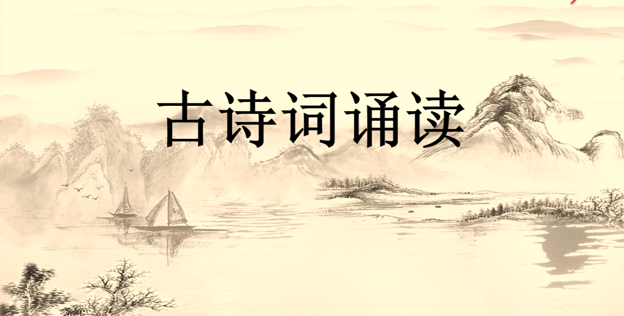 【湖畔光影·云上教研】名师领航赋能量 教研交流促成长——金陵小学（仙林湖校区）语文组校本教研（五）_html_3adaf50d.png