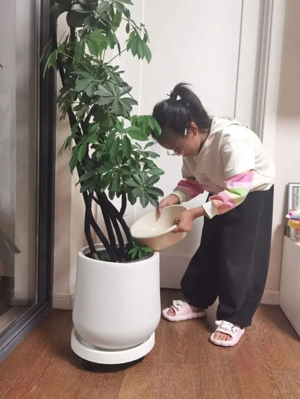 【湖畔·学生活动】劳动最光荣，争做劳动小达人——南京市金陵小学（仙林湖校区）五一劳动实践活动_html_m2f169da2.png