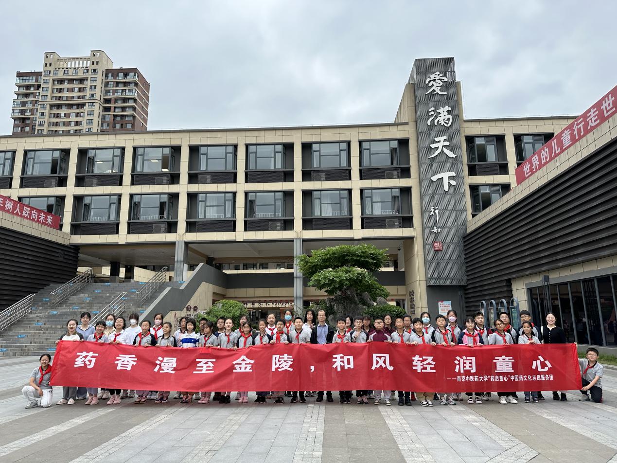 【博学广志】中草药引领实践 蒲公英伴我成长n——金小广志五年级开展蒲公英茶的加工与识别_html_6c732d63.jpg