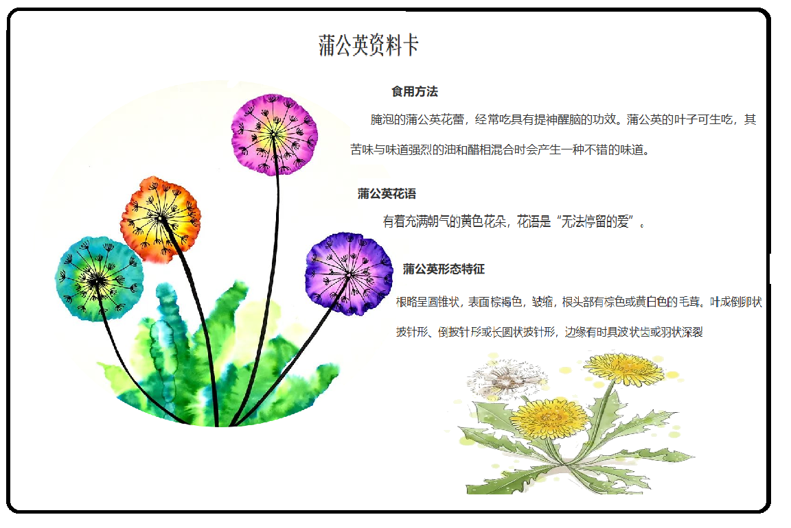 【博学广志】科普筑梦广志路，飞舞旅行蒲公英(1)_html_4722435a.png