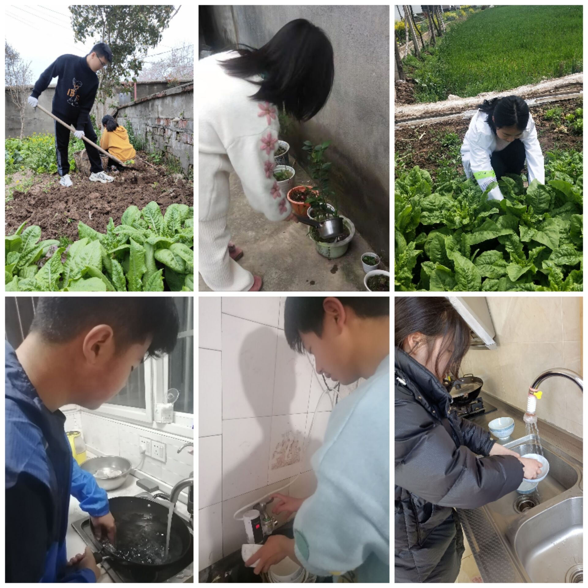 劳动教育新闻稿_html_178ed10d.jpg