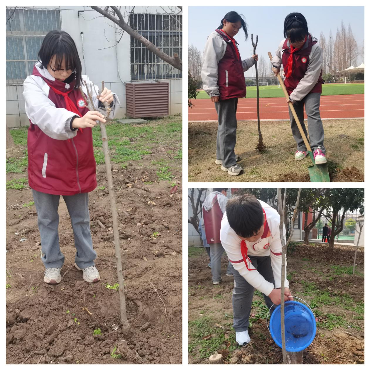 【尊荣营中】“植”此青绿 拥抱春天——营防中学开展植树节活动