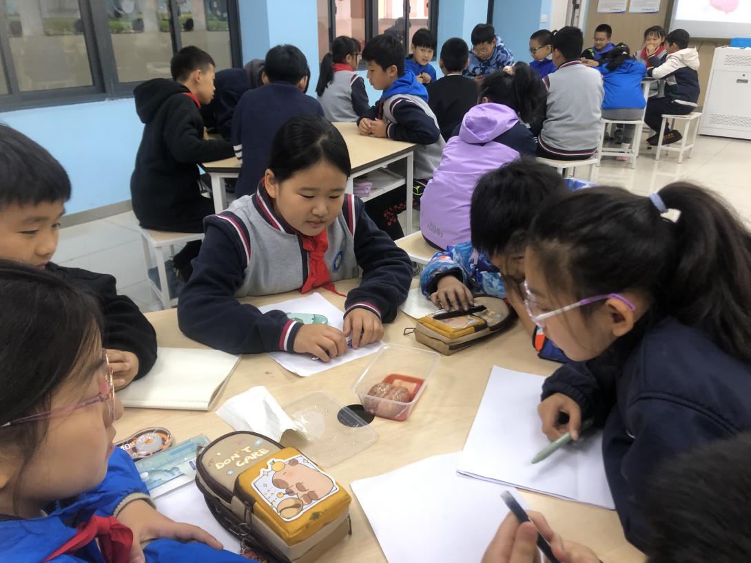 项目式学习助力科学概念建构主题教研之我们的大脑一_html_386aae02.jpg