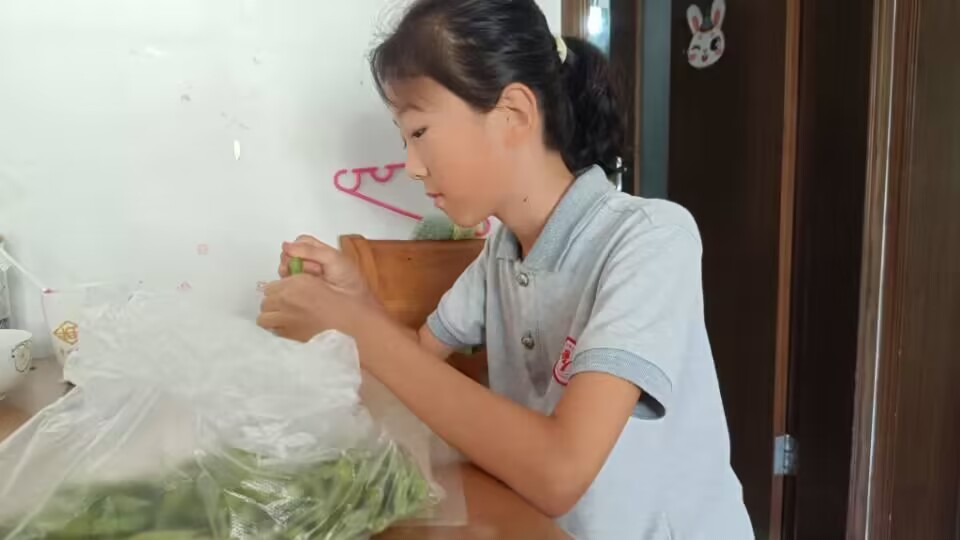 图片15.jpg 图片15.jpg