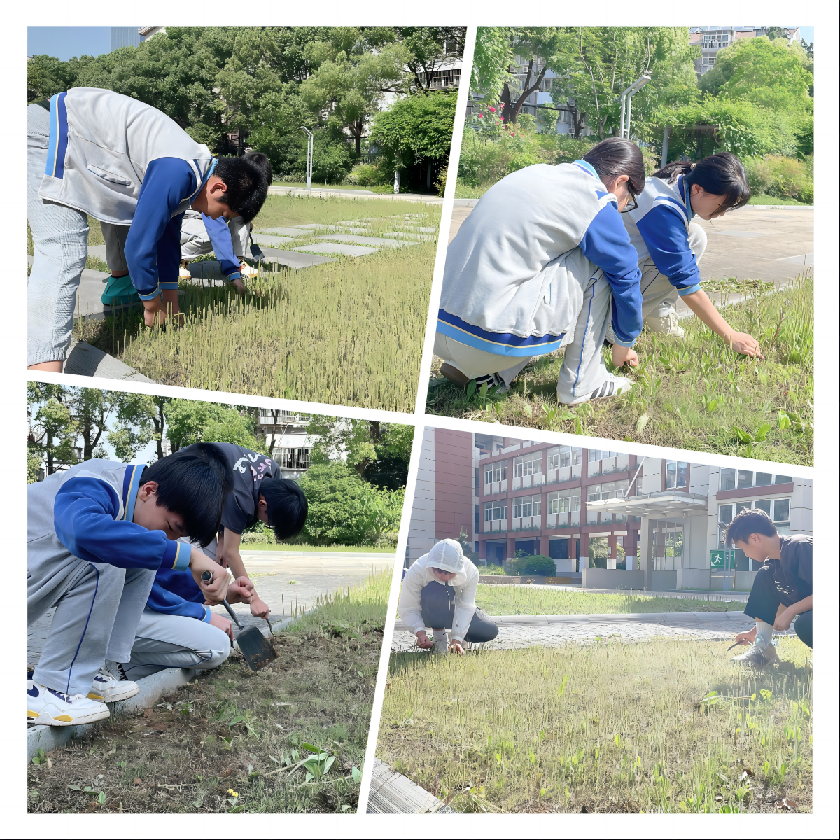 02锄草拼图.png 02锄草拼图.png