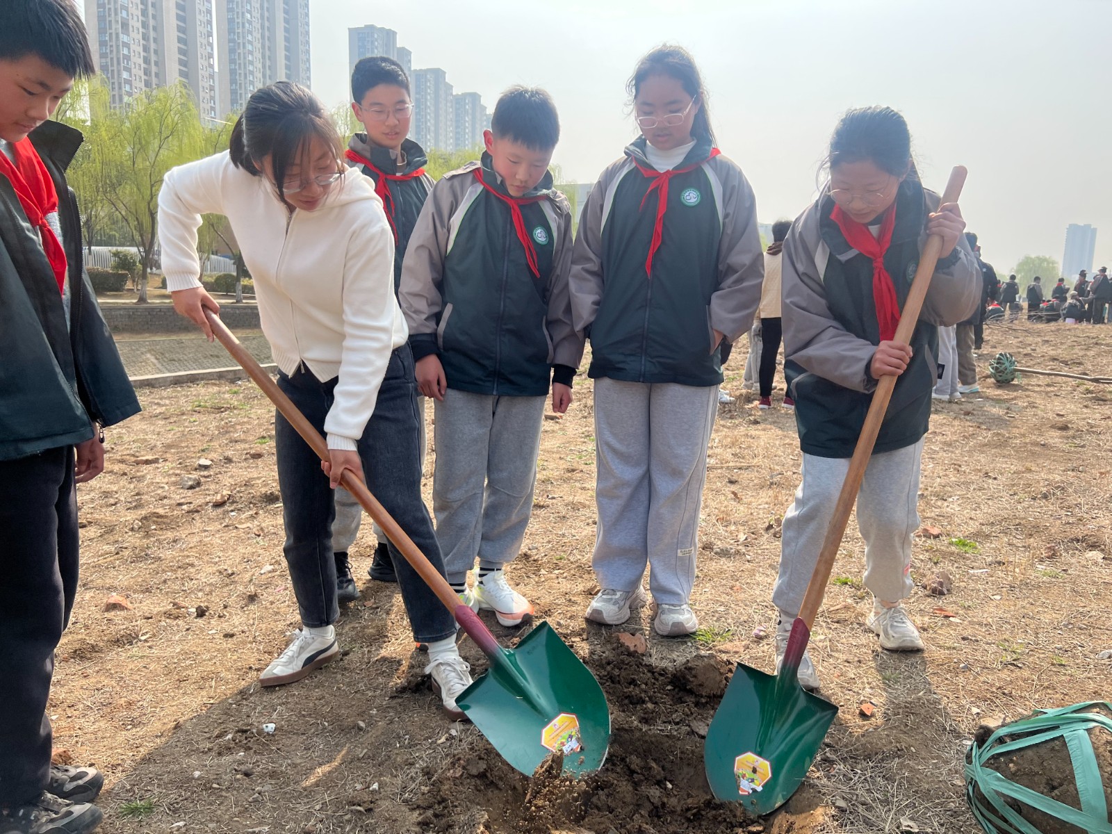 【花港一小】满载着今天的收获，向明天出发 ——花港一小2019级毕业季系列活动一