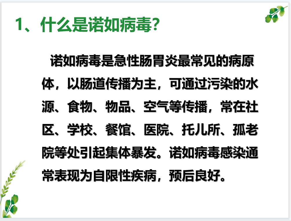 诺如病毒线上培训新闻_html_2ac8c1fe.png