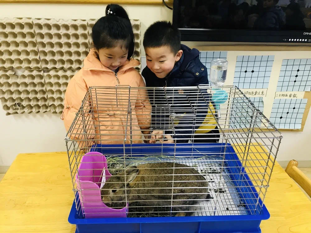 幼儿看小罗比.jpg
