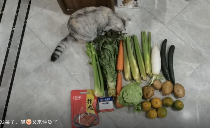 劳“疫”结合，“童”样精彩——一二年级居家劳动(1)_html_mf7d2720.png